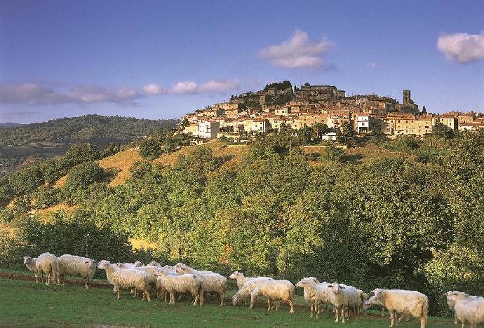 Semproniano - Saturnia  - Panorama - Ferienwohnungen